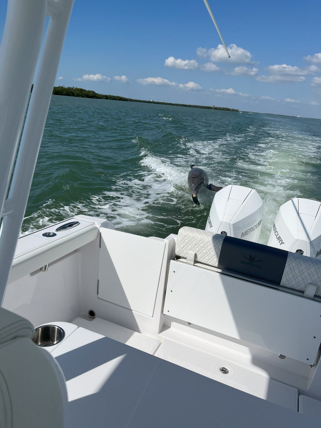 A day in a boaters life in SW Florida. Terry Stringer