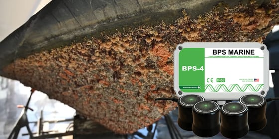 BPS Mmaine Anti Fouling