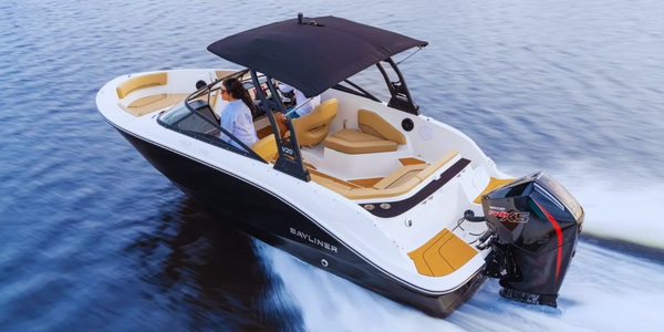 Bayliner V20