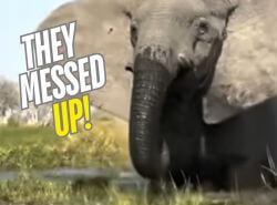 Boneheaded 2.20.2026