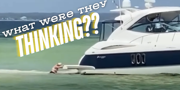 Boneheaded boater - NL