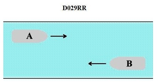 D029RR