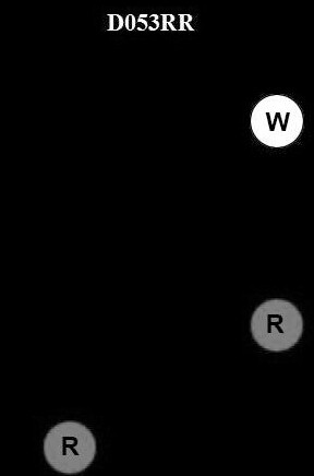 D053RR