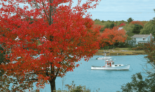 Don’t Miss Out on Fall Cruising