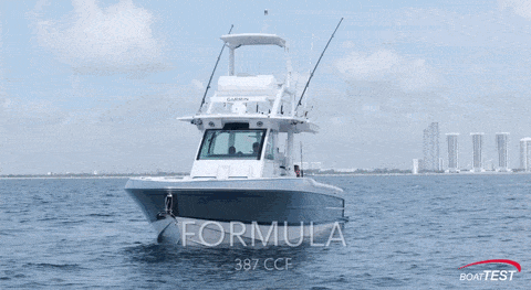 Formula 387 CCF