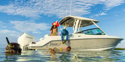 NL Standard Image 600x3001-1