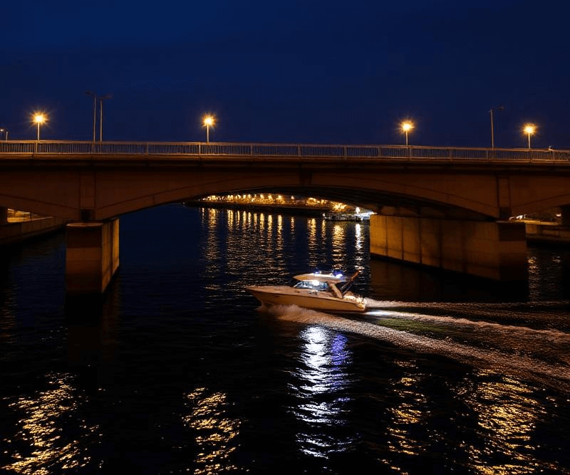 bridge-night-1-10-25