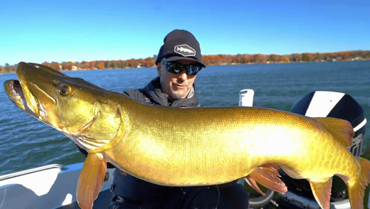 Large Muskie