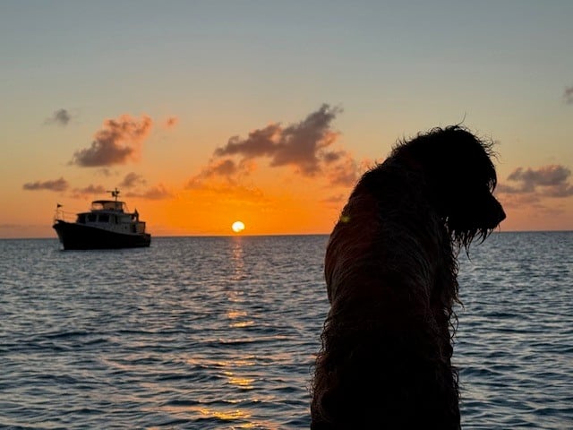 Jay Hackett Taz No Rush