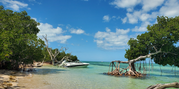 Life is better on a boat