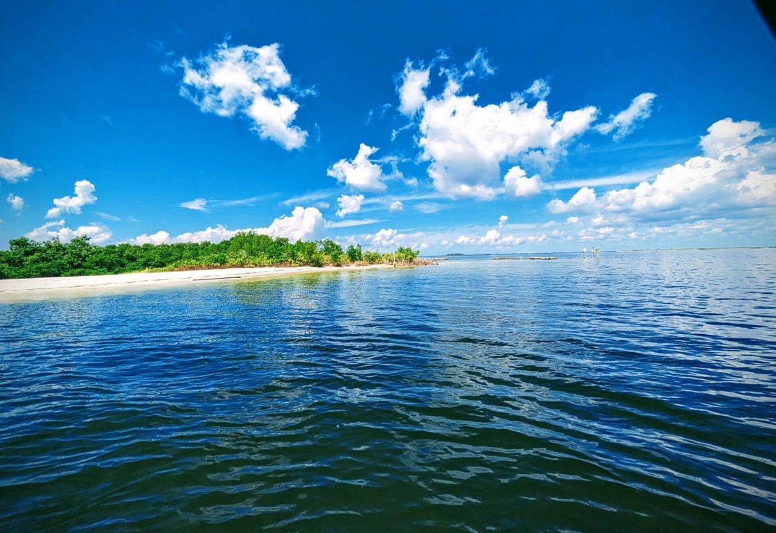 Near TECO Manatee Viewing area Apollo Beach FL