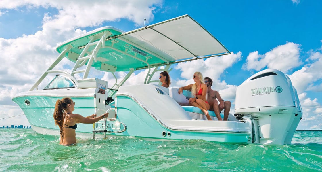 SBC-RobaloR317