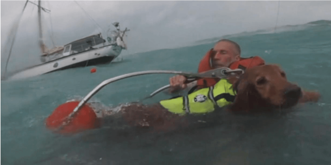 Eight accidents are reported upon this week, several involving rescues by the U.S. Coast Guard.