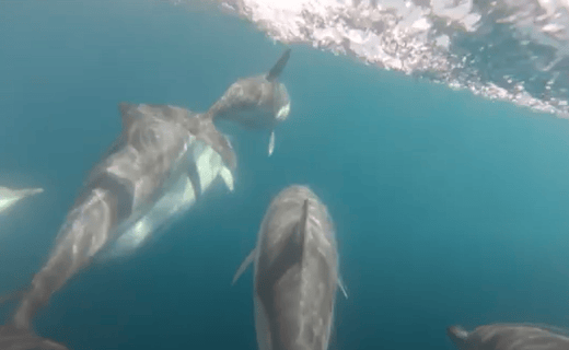 Screenshot 2024-12-05 141855