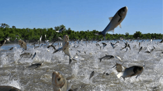 Screenshot 2025-01-09 at 8.29.45 AM