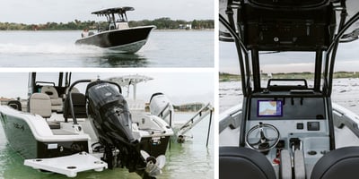 Sea Pro 245 and it features
