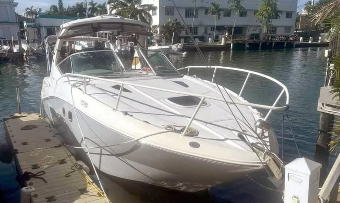 Sea Ray 310 Sundancer