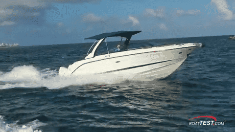 Sea Ray SLX 310 Outboard (2019) - Test Video-low