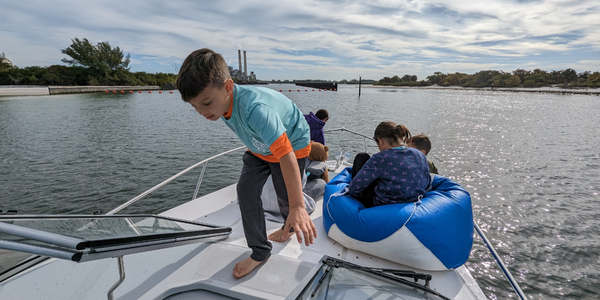 Taking grandkids to see manatees at the TECO Power Plant Apollo Beach FL