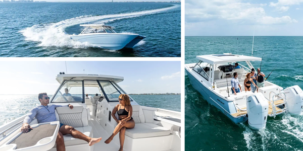 World Cat 400 Island