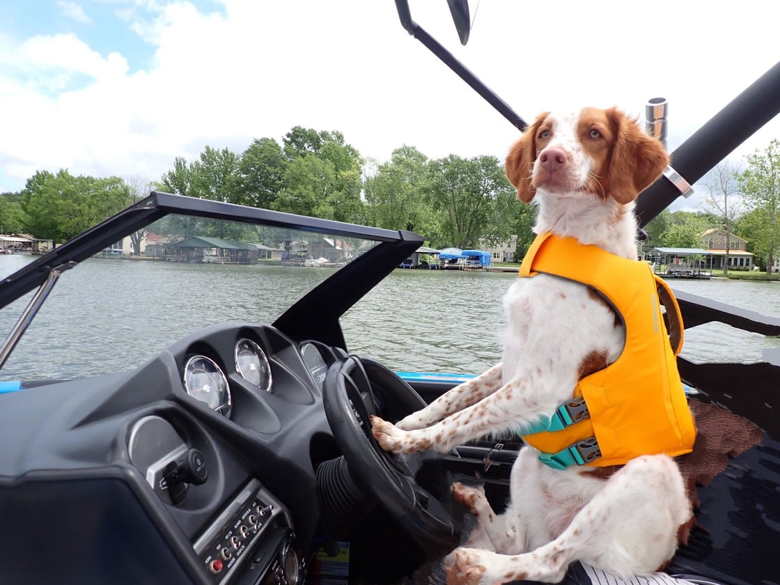 thumbnail_Captain River -Frank Schwarzkopf