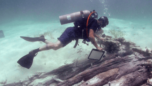 turks and caicos-1-1